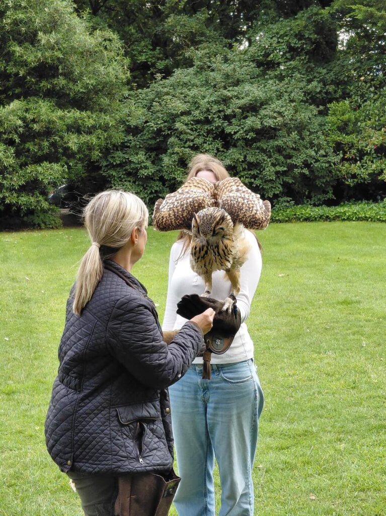 Caroline holding an owl in the Cotswolds