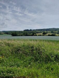 Rolling hills of the Cotswolds
