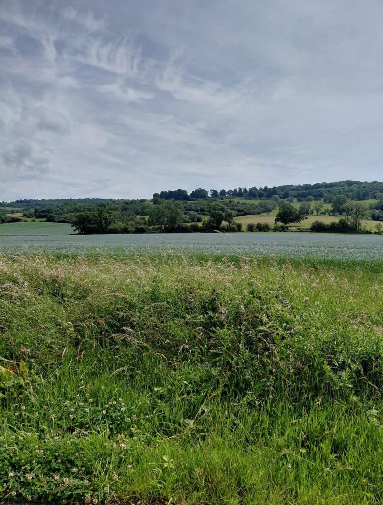 Rolling hills of the Cotswolds